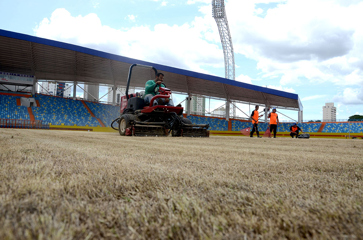 Técnicos trabalham na revitalização do gramado do Estádio Olímpico - 2017